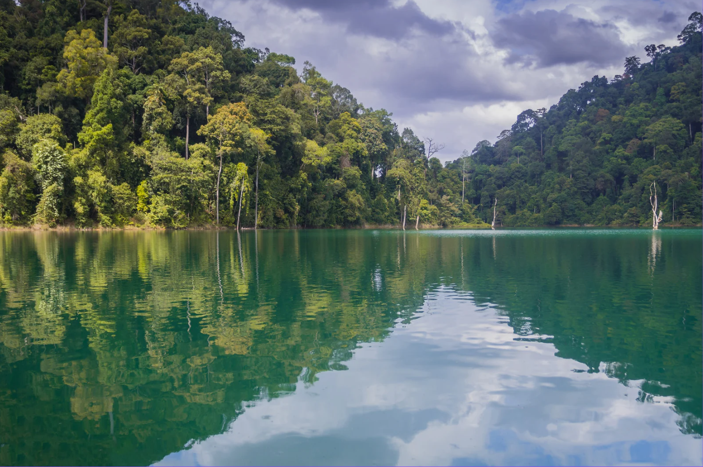 lake image